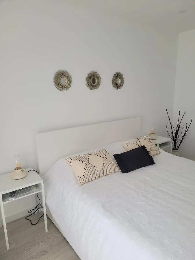 Apartamento T1 Salgados contacts